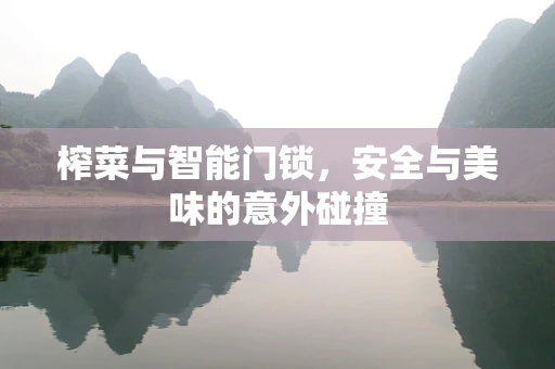 榨菜与智能门锁，安全与美味的意外碰撞