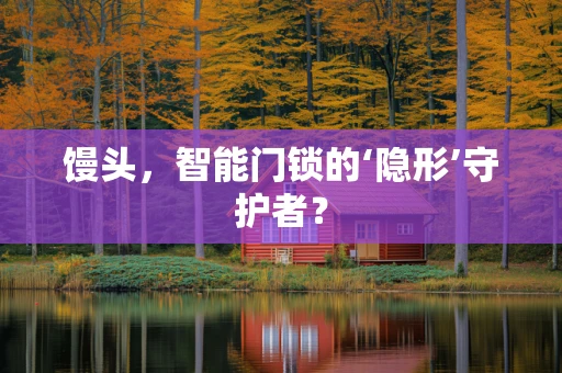 馒头，智能门锁的‘隐形’守护者？