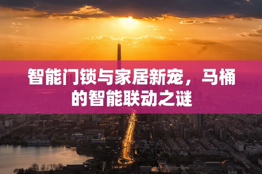 智能门锁与家居新宠，马桶的智能联动之谜