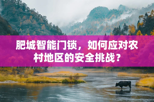 肥城智能门锁，如何应对农村地区的安全挑战？