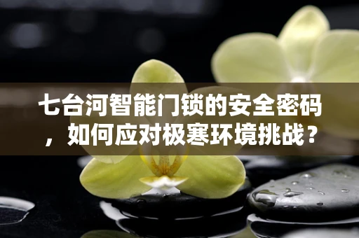 七台河智能门锁的安全密码，如何应对极寒环境挑战？