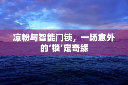 凉粉与智能门锁，一场意外的‘锁’定奇缘