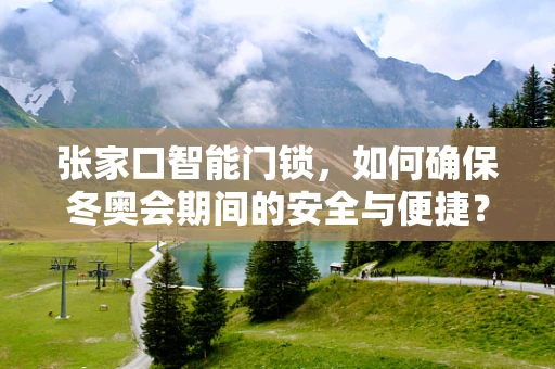 张家口智能门锁，如何确保冬奥会期间的安全与便捷？