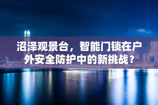 沼泽观景台，智能门锁在户外安全防护中的新挑战？