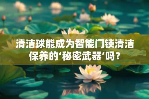 清洁球能成为智能门锁清洁保养的‘秘密武器’吗？