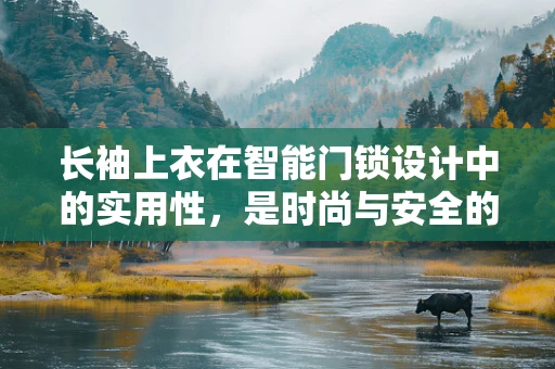 长袖上衣在智能门锁设计中的实用性，是时尚与安全的完美结合吗？