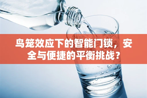 鸟笼效应下的智能门锁，安全与便捷的平衡挑战？