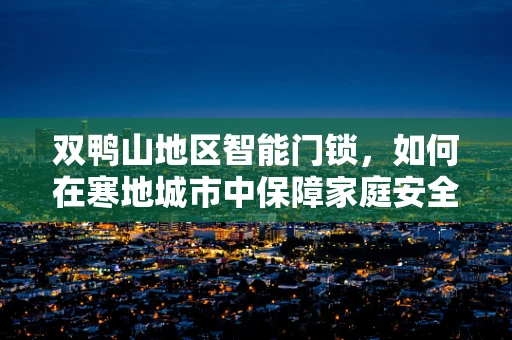 双鸭山地区智能门锁，如何在寒地城市中保障家庭安全与便利？