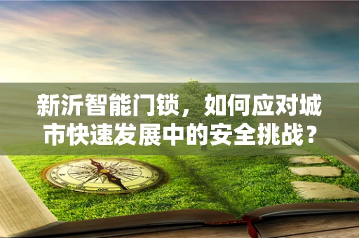 新沂智能门锁，如何应对城市快速发展中的安全挑战？