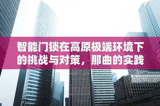 智能门锁在高原极端环境下的挑战与对策，那曲的实践