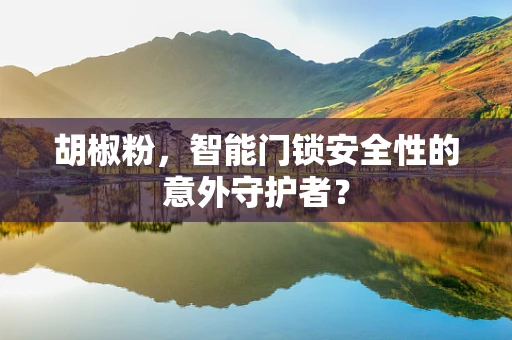 胡椒粉，智能门锁安全性的意外守护者？
