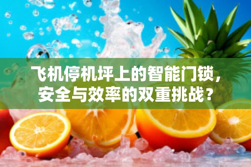 飞机停机坪上的智能门锁，安全与效率的双重挑战？