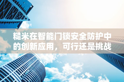 糙米在智能门锁安全防护中的创新应用，可行还是挑战？