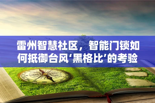 雷州智慧社区，智能门锁如何抵御台风‘黑格比’的考验？