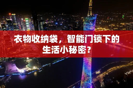 衣物收纳袋，智能门锁下的生活小秘密？