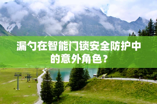 漏勺在智能门锁安全防护中的意外角色？