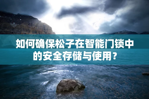 如何确保松子在智能门锁中的安全存储与使用？