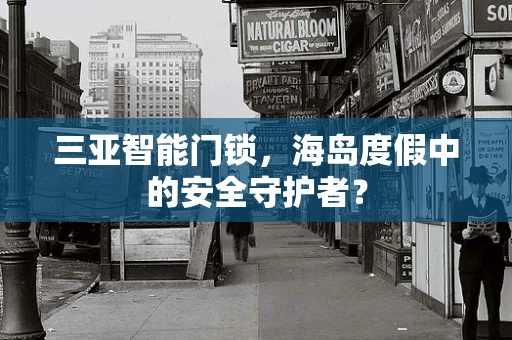 三亚智能门锁，海岛度假中的安全守护者？