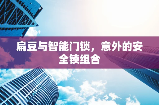 扁豆与智能门锁，意外的安全锁组合