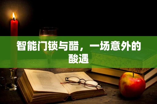 智能门锁与醋，一场意外的酸遇