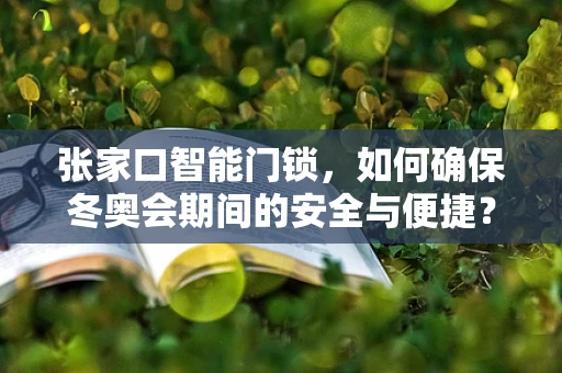 张家口智能门锁，如何确保冬奥会期间的安全与便捷？