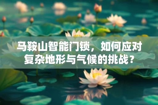 马鞍山智能门锁，如何应对复杂地形与气候的挑战？