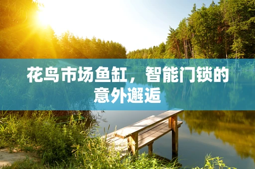 花鸟市场鱼缸，智能门锁的意外邂逅
