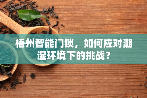 梧州智能门锁，如何应对潮湿环境下的挑战？