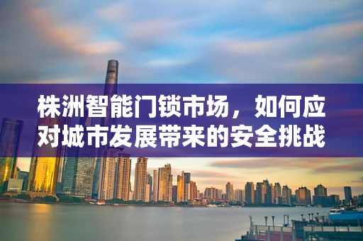 株洲智能门锁市场，如何应对城市发展带来的安全挑战？