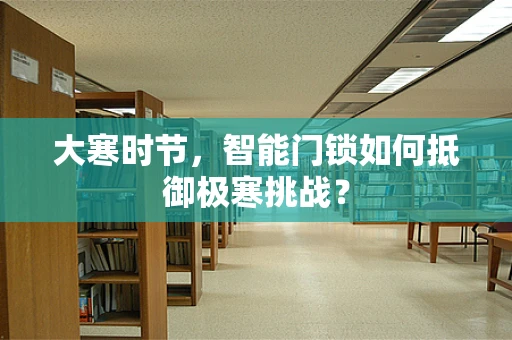 大寒时节，智能门锁如何抵御极寒挑战？