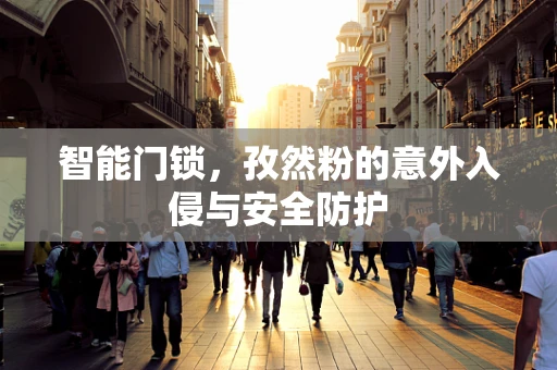智能门锁，孜然粉的意外入侵与安全防护