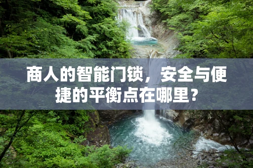 商人的智能门锁，安全与便捷的平衡点在哪里？