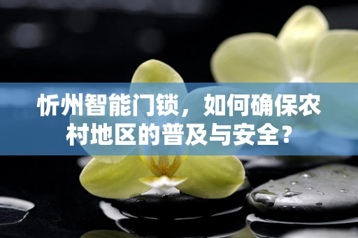 忻州智能门锁，如何确保农村地区的普及与安全？