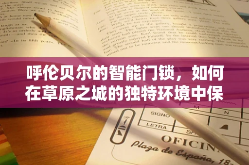 呼伦贝尔的智能门锁，如何在草原之城的独特环境中保障安全？