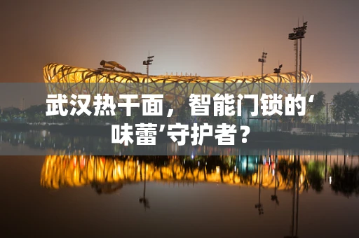 武汉热干面，智能门锁的‘味蕾’守护者？
