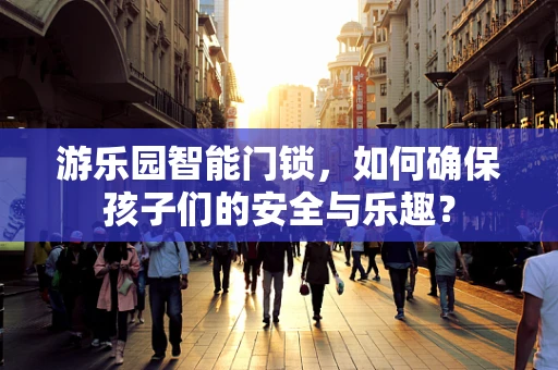 游乐园智能门锁，如何确保孩子们的安全与乐趣？