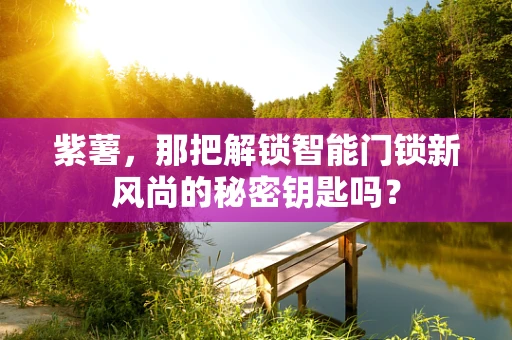 紫薯，那把解锁智能门锁新风尚的秘密钥匙吗？
