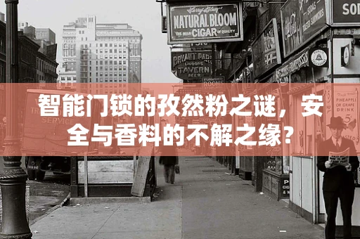 智能门锁的孜然粉之谜，安全与香料的不解之缘？