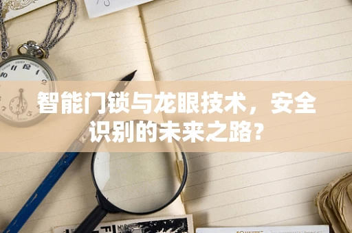 智能门锁与龙眼技术，安全识别的未来之路？