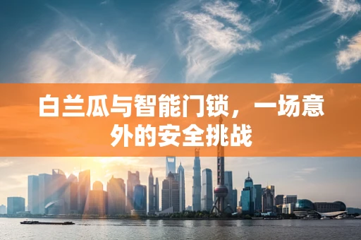 白兰瓜与智能门锁，一场意外的安全挑战