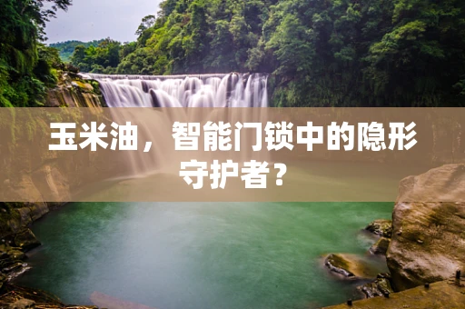玉米油，智能门锁中的隐形守护者？