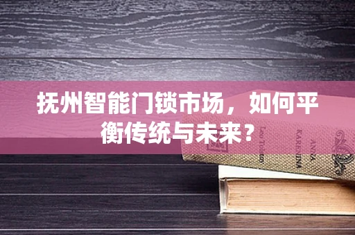 抚州智能门锁市场，如何平衡传统与未来？