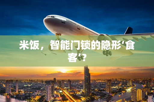 米饭，智能门锁的隐形‘食客’？