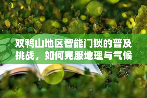双鸭山地区智能门锁的普及挑战，如何克服地理与气候的双重考验？