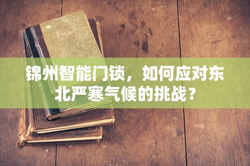 锦州智能门锁，如何应对东北严寒气候的挑战？