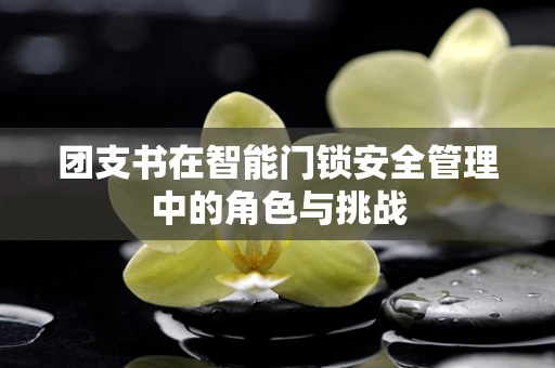 团支书在智能门锁安全管理中的角色与挑战
