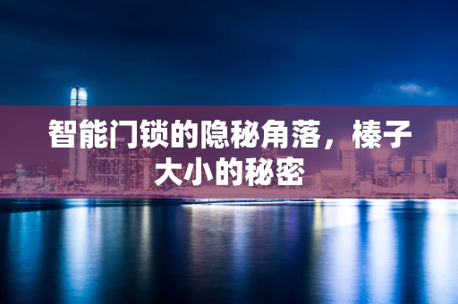 智能门锁的隐秘角落，榛子大小的秘密