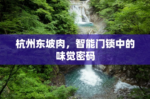 杭州东坡肉，智能门锁中的味觉密码