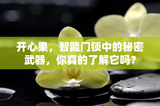 开心果，智能门锁中的秘密武器，你真的了解它吗？