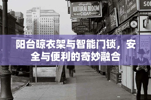 阳台晾衣架与智能门锁，安全与便利的奇妙融合